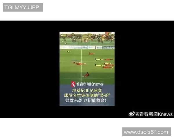 球星足球运动员因场上冲突频频发生抽嘴巴事件引发关注